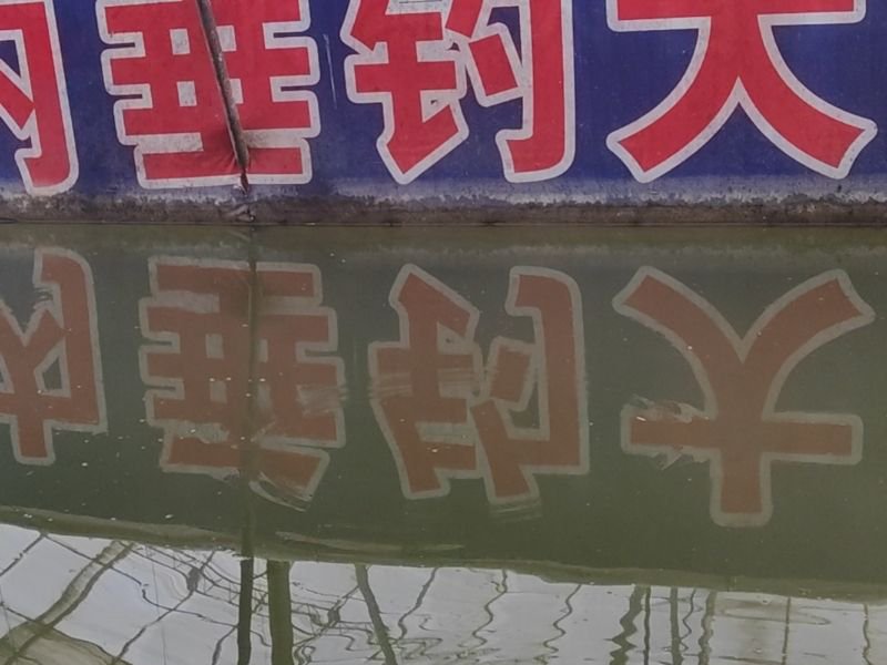金顺室内垂钓大棚钓场环境照片