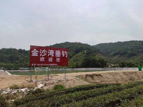 金沙湾垂钓园钓点与钓场环境照片