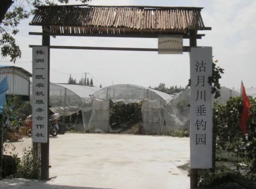 沽月川垂钓园钓场环境照片