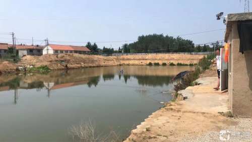 荷花湖钓场钓点与钓场环境照片