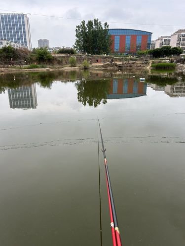 小学垂钓园钓点与钓场环境照片