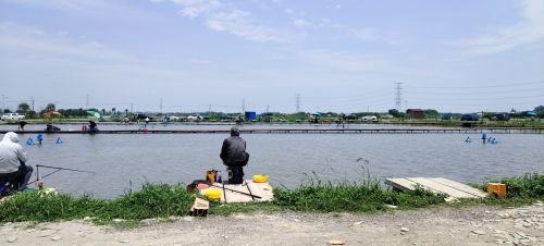 八坼丰润垂钓园钓场环境照片