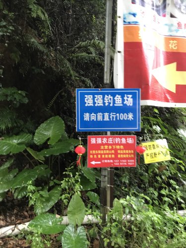 强强农庄钓鱼场钓点与钓场环境照片