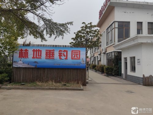 林地垂钓园钓场环境照片