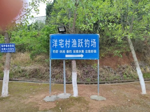 洋宅村渔跃钓场钓场环境照片