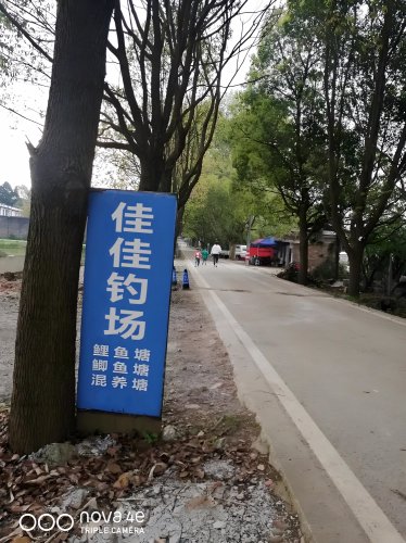 佳佳钓场钓场环境照片