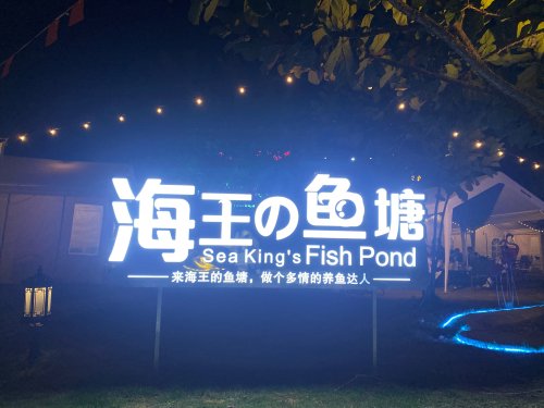 海王的鱼塘露营地钓点与钓场环境照片