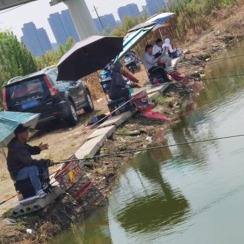 宇君生态农庄钓场环境照片