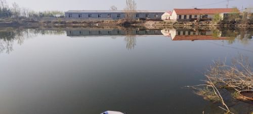 大楚留鲢鳙垂钓园钓点与钓场环境照片