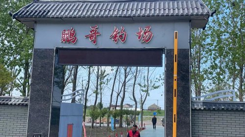 大丰区鹏哥垂钓中心钓场环境照片