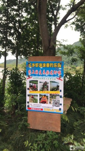 五乡虾涂涂垂钓乐园钓点与钓场环境照片