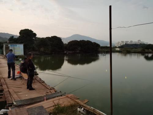 沈塘垂钓园钓场环境照片