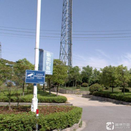 新龙钓鱼钓场环境照片