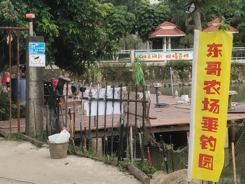 东哥农场垂钓园钓点与钓场环境照片
