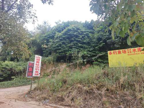 普宁市池尾山湖黄岐山钓鱼场钓点与钓场环境照片