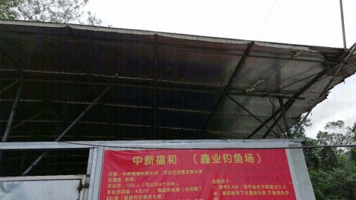 鑫业钓鱼场钓点与钓场环境照片