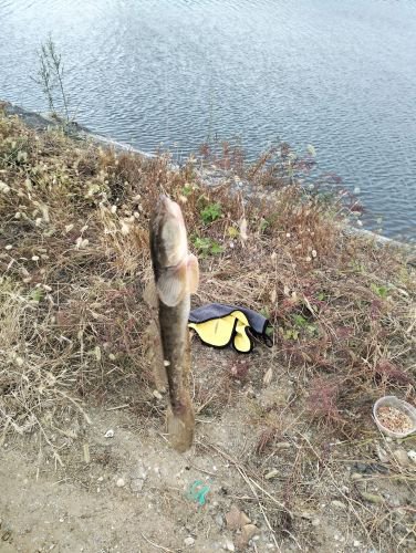 心连心垂钓园钓点与钓场环境照片