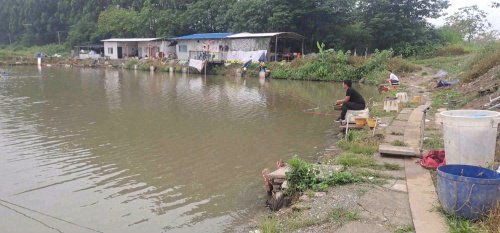 云广钓场钓点与钓场环境照片