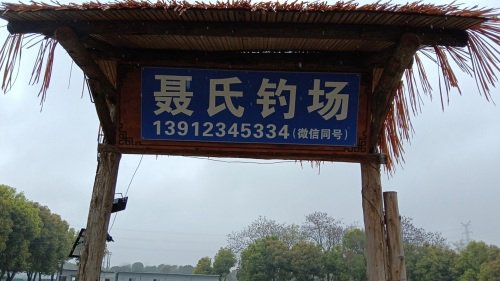 聂氏钓场钓场环境照片