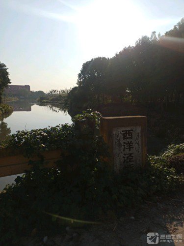 新白鹤垂钓中心钓点与钓场环境照片