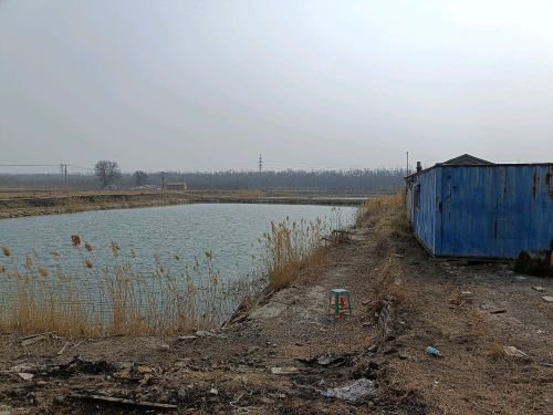盛哥垂钓园钓点与钓场环境照片