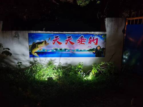 天天垂钓园钓场环境照片