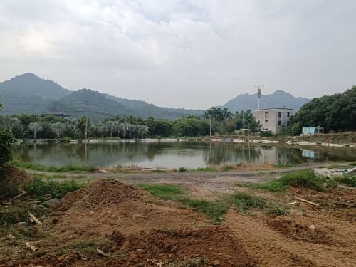 长泰区十里钓场钓场环境照片