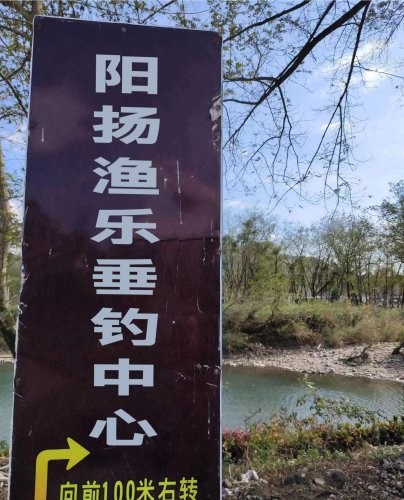 阳扬渔乐垂钓中心钓场环境照片