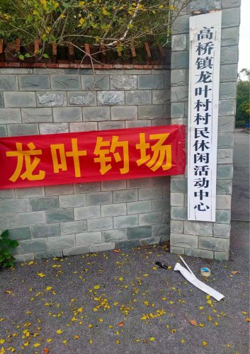 龙叶钓场钓点与钓场环境照片