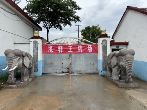 甩籽王钓场钓点与钓场环境照片