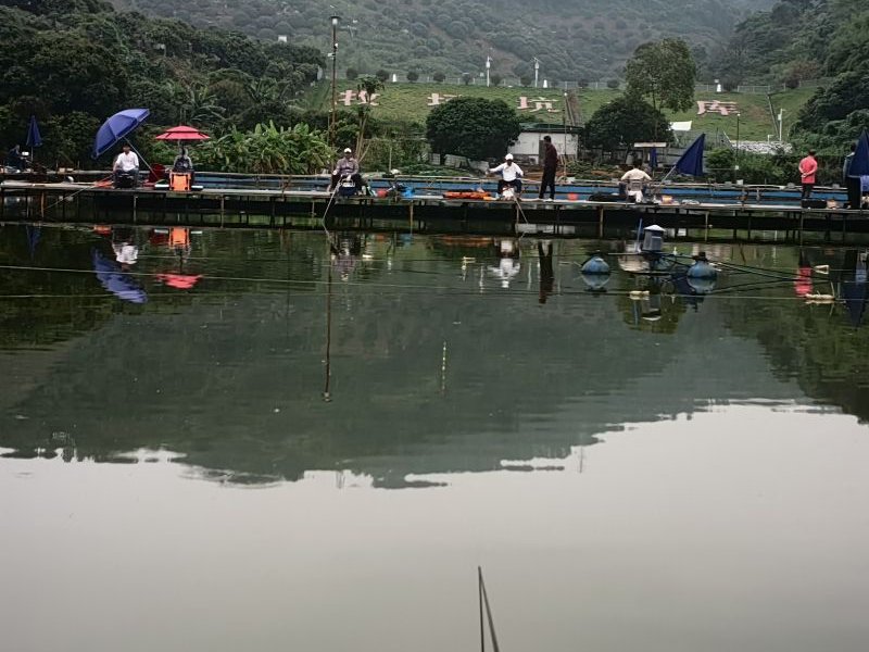 聚龙休闲垂钓基地钓点与钓场环境照片