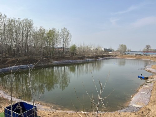 东桥休闲垂钓园钓点与钓场环境照片