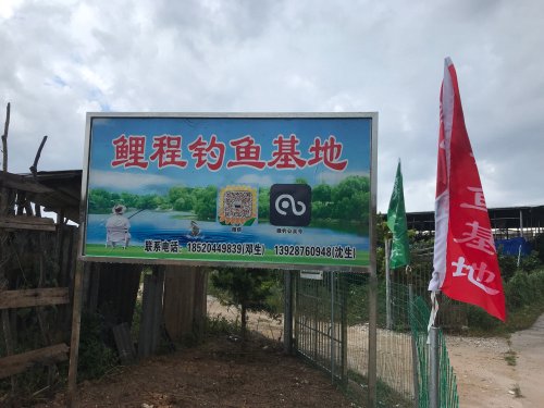 鲤程钓鱼基地钓点与钓场环境照片