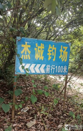 杰成钓鱼场钓点与钓场环境照片