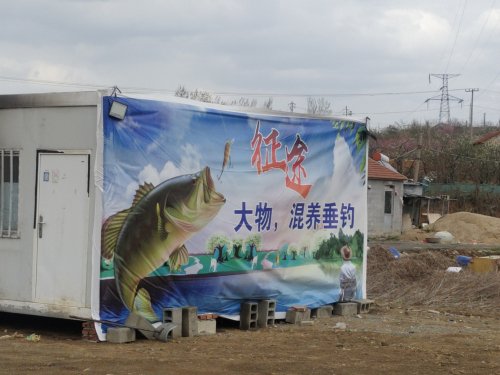 征途大物垂钓园钓点与钓场环境照片