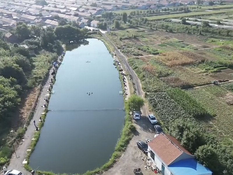 广饶县稻庄镇高刘村蓝水湾垂钓园钓点与钓场环境照片