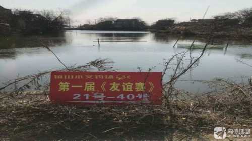 镇山小文钓场钓场环境照片