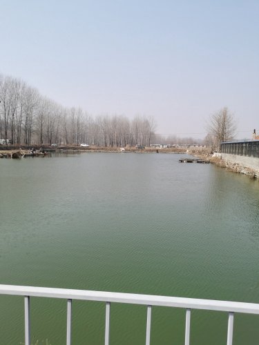 林子休闲垂钓园钓场环境照片