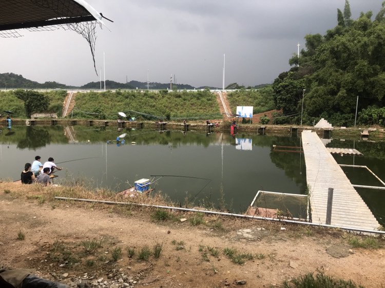 张姐山泉活水钓鱼场钓点与钓场环境照片