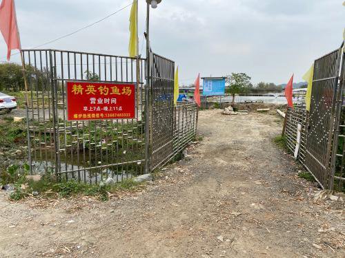 精英钓鱼场钓点与钓场环境照片