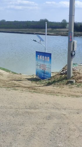 芬姨垂钓园钓场环境照片