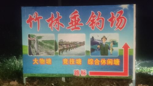 竹林垂钓场钓场环境照片
