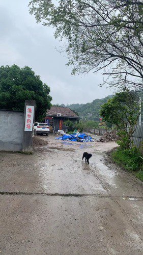渔乐钓场钓点与钓场环境照片