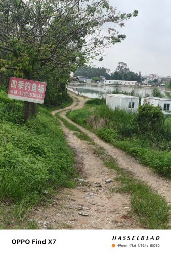 四季钓鱼场钓点与钓场环境照片