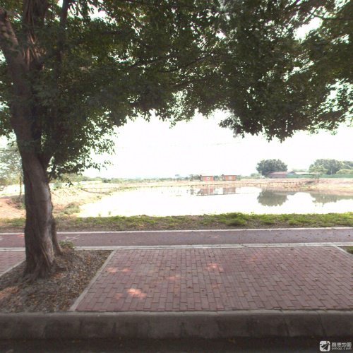 上华渔歌钓鱼场钓点与钓场环境照片