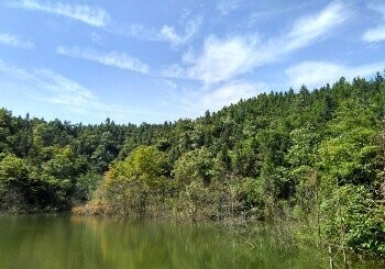 河村水库钓点与钓场环境照片