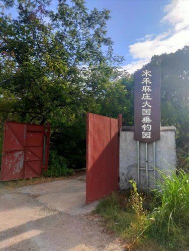 宋禾麻庄大国垂钓园钓场环境照片