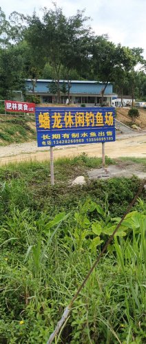 蟠龙休闲钓鱼场钓点与钓场环境照片