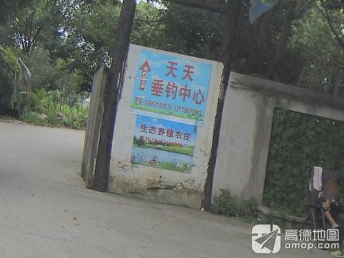 天天垂钓中心钓场环境照片