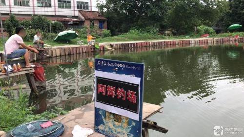 阿辉钓鱼场钓点与钓场环境照片